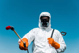 Trusted Rolling Hills Estates, CA Pest Control Experts